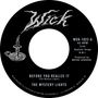 The Mystery Lights: Before You Realise It / Cerebral Crack, Single 7"