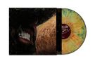 Text: "SIN LEÓN" auf dem Schallplattenlabel. Nahaufnahme eines grinsenden Gesichts, Bart und Hut im Schatten. Vinyl in bunten Farben., LP