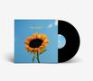 „The Snuts, Marnarchists.“ Plattenhülle mit Sonnenblume auf blauem Hintergrund, daneben eine schwarze Schallplatte., LP