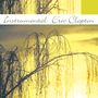 "Instrumental Eric Clapton". Eine weinende Baum-Silhouette vor einem gelben Hintergrund., CD