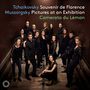 Peter Iljitsch Tschaikowsky: Souvenir de Florence für Streichorchester, CD