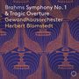 Johannes Brahms: Symphonie Nr.1, CD