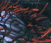 Tool: Schism, DVD
