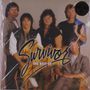 "Survivor, The Best Of" steht in großer Schrift. Fünf Männer stehen oder sitzen nebeneinander, teilweise mit 80er-Jahre-Stil., 2 LPs