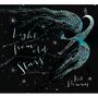 Kit Downes: Light From Old Stars, CD