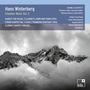 „Hans Winterberg Chamber Music Vol. 3“ mit Werken und Musikern. Im Hintergrund ein dramatisches Gebirgspanorama., CD