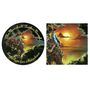 The Marshall Tucker Band: Searchin for a Rainbow, LP