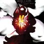 "Chrysta Bell & David Lynch Cellophane Memories." Eine Nahaufnahme einer Blüte mit intensiven Farben., LP