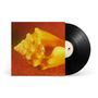 Ein orangefarbenes Cover mit einer Muschel. Neben dem Cover liegt eine Schallplatte mit einem Delfin auf dem Label., LP