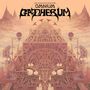 King Gizzard & The Lizard Wizard: Omnium Gatherum, 2 LPs