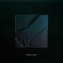 Houses Of Heaven: Silent Places (Limited Edition) (Cloudy White Clear Vinyl), LP