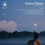 Amen Dunes: Love (Blue & White Marble Vinyl), LP