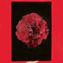 Activity: A Thousand Years In Another Way, LP
