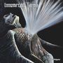 Innumerable Forms: Pain Effulgence, CD