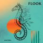 Flook: Ancora, CD