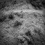 Anna Tivel: Animal Poem, CD