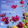 Gustav Mahler: Symphonie Nr.1, CD