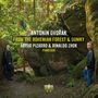 Antonin Dvorak: Klaviertrio Nr.4 "Dumky" für Klavier 4-händig, CD