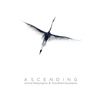 Amira Medunjanin: Ascending, CD