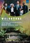 Berliner Philharmoniker - Waldbühne Berlin 2003 (A Gershwin Night), DVD