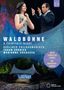 : Berliner Philharmoniker - Waldbühnenkonzert 2019 "A Fairytale Night", DVD