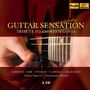 Friedemann Wuttke & Andres Segovia - Guitar Sensation, 2 CDs