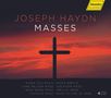 Joseph Haydn: Messen Nr.1,2,5,9,10,12-14, 4 CDs
