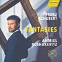 Franz Schubert: Wandererfantasie D.760, CD