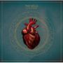 The Veils: Sun Gangs, LP, LP