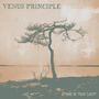 Venus Principle: Stand In Your Light (Crystal Clear Vinyl), 2 LPs, 2 LPs