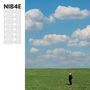 Links mehrfach "NIB4E". Rechts eine Person auf einer grünen Wiese unter blauem Himmel mit Wolken., CD
