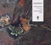 Sebastian Mullaert: Natthall, CD