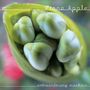 Fiona Apple: Extraordinary Machine, CD