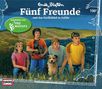Enid Blyton: Fünf Freunde (Folge 100) - und das Gorillakind in Gefahr, CD