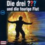 Die drei ??? (Folge 148) und die feurige Flut, CD
