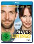 David O. Russell: Silver Linings (Blu-ray), BR