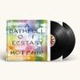 Hot Chip: A Bath Full Of Ecstasy (180g), 2 LPs