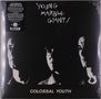 Young Marble Giants: Colossal Youth / Hurrah, New York, Nov. '80 (Limited Edition) (Clear Vinyl), LP