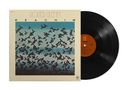 "ROGER GLENN" oben, "REACHIN'" mittig. Illustration: Schwarze Vögel fliegen über Wasser. Schallplatte daneben., LP