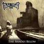 Morbius: The Shades Below, CD