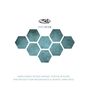 311: Archive, 4 CDs, 4 CDs
