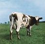 Pink Floyd: Atom Heart Mother, CD