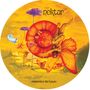 Nektar: Remember The Future (Picture Disc), LP