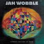 Jah Wobble: A Brief History Of Now, CD