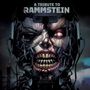 Various Artists: A Tribute To Rammstein, LP