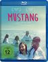 Deniz Gamze Ergüven: Mustang (Blu-ray), BR