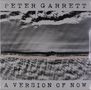 Peter Garrett: A Version Of Now, LP