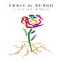 Chris De Burgh: A Better World, CD