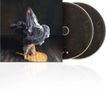 Zwei CDs mit einem Coverbild einer Frau in fließendem, grauem Kleid auf Holzboden in sanftem Licht., 2 CDs