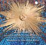 Johann Sebastian Bach: Brandenburgische Konzerte Nr.1-6, CD,CD